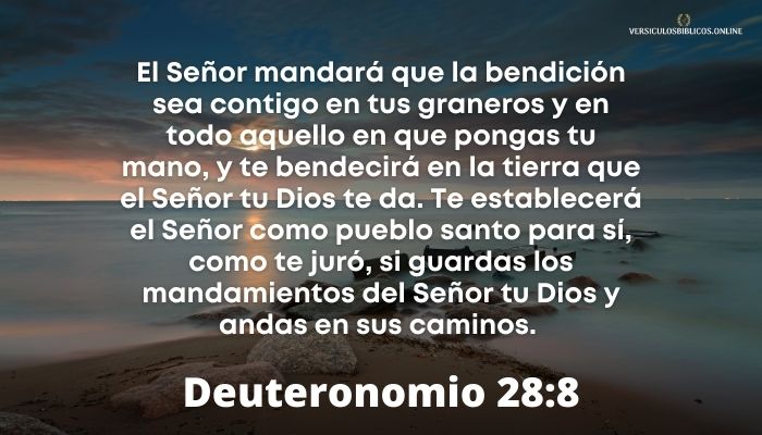 Deuteronomio 28_8