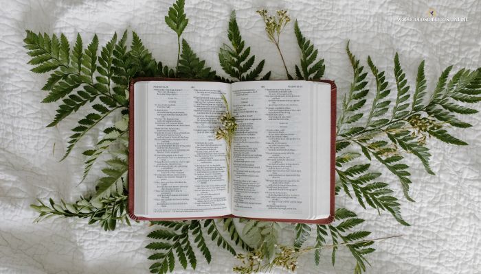 Los Salmos más Bonitos de la Biblia
