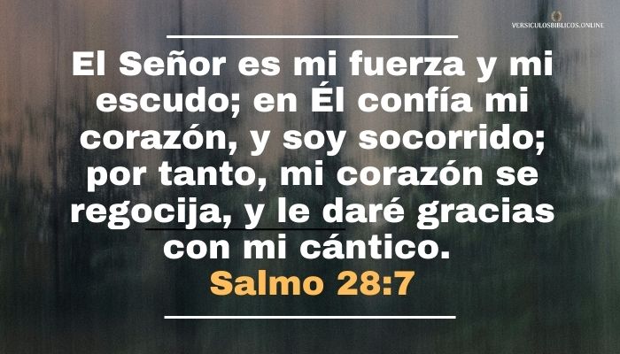 Salmo 28_7